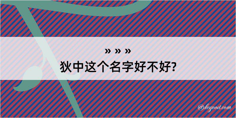 狄中这个名字好不好?