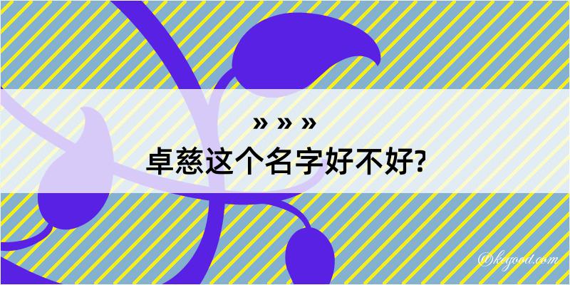 卓慈这个名字好不好?