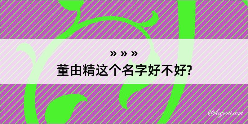 董由精这个名字好不好?