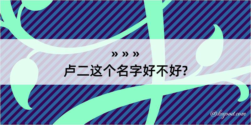 卢二这个名字好不好?