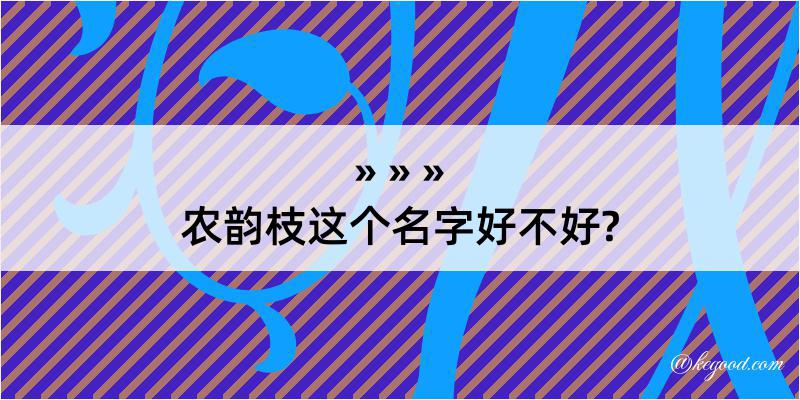 农韵枝这个名字好不好?