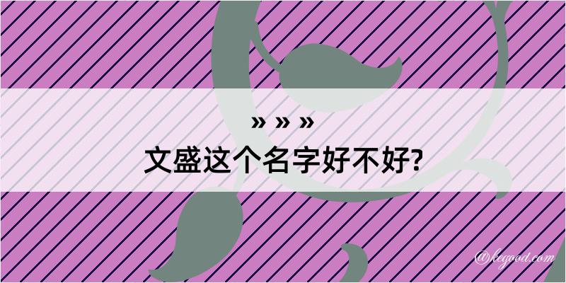 文盛这个名字好不好?