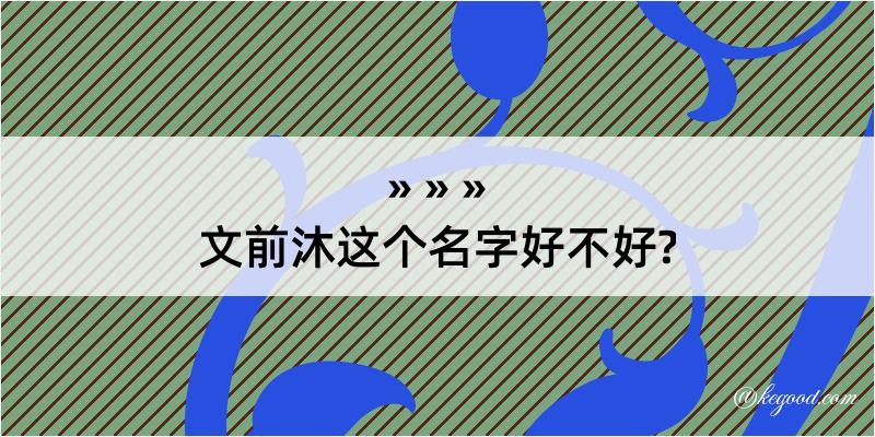 文前沐这个名字好不好?