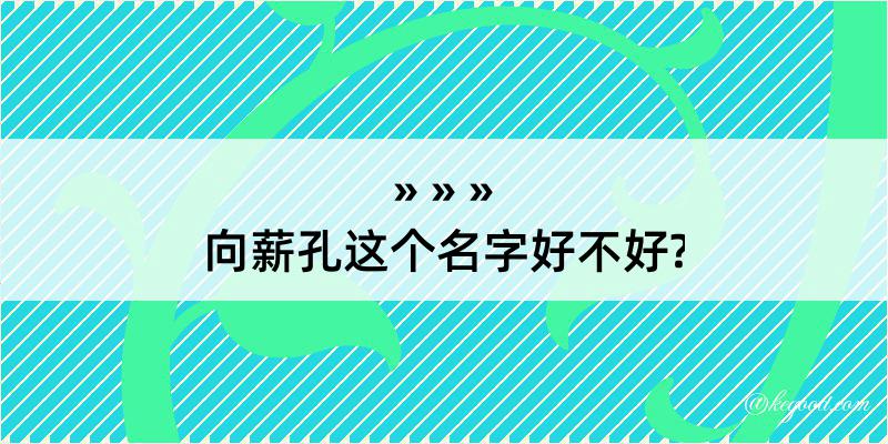 向薪孔这个名字好不好?