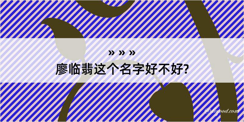 廖临翡这个名字好不好?