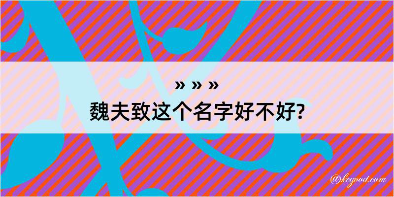 魏夫致这个名字好不好?