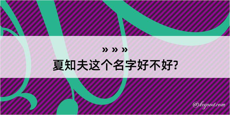 夏知夫这个名字好不好?