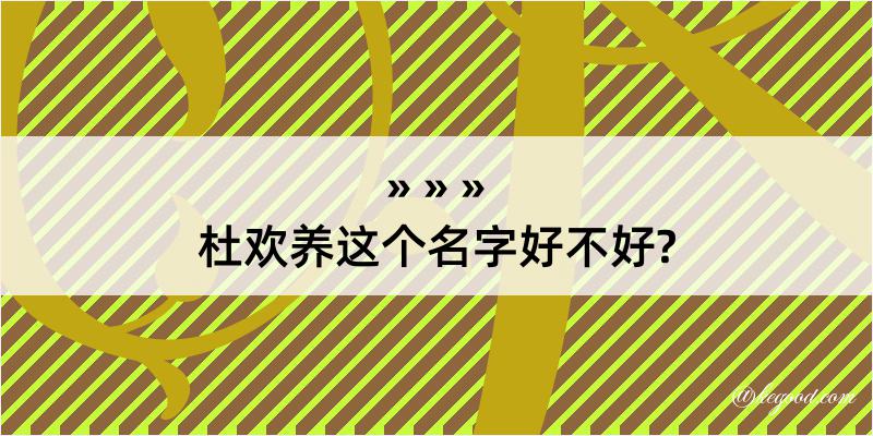 杜欢养这个名字好不好?