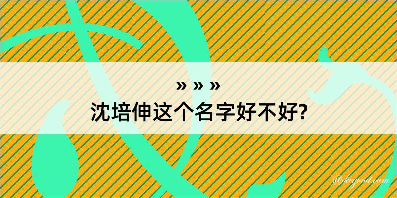 沈培伸这个名字好不好?