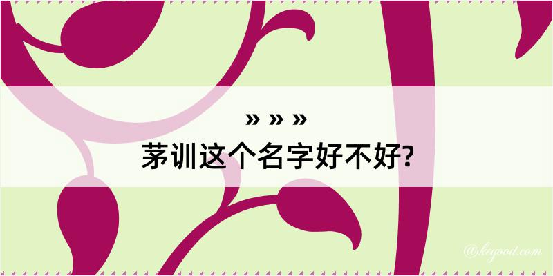 茅训这个名字好不好?