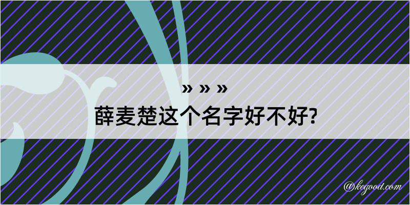 薛麦楚这个名字好不好?