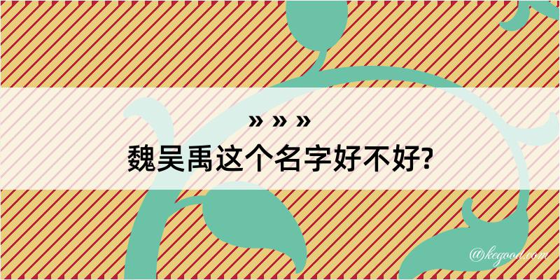 魏吴禹这个名字好不好?