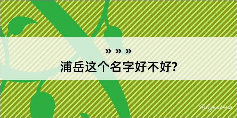 浦岳这个名字好不好?