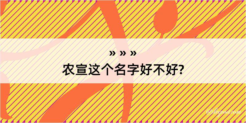 农宣这个名字好不好?