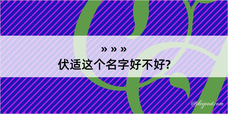 伏适这个名字好不好?