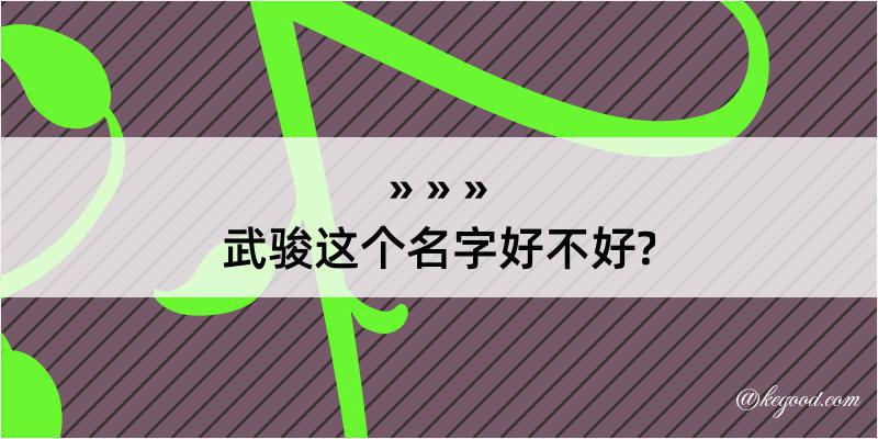 武骏这个名字好不好?