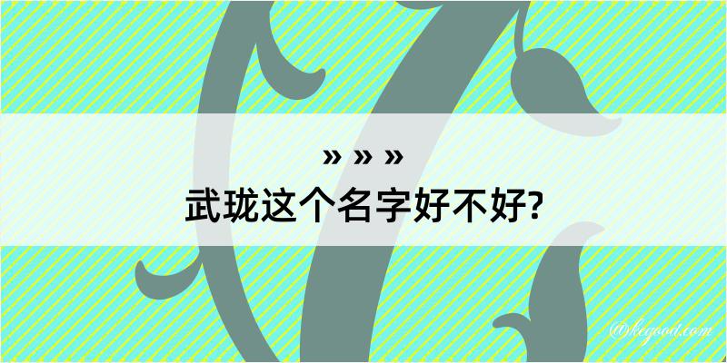 武珑这个名字好不好?