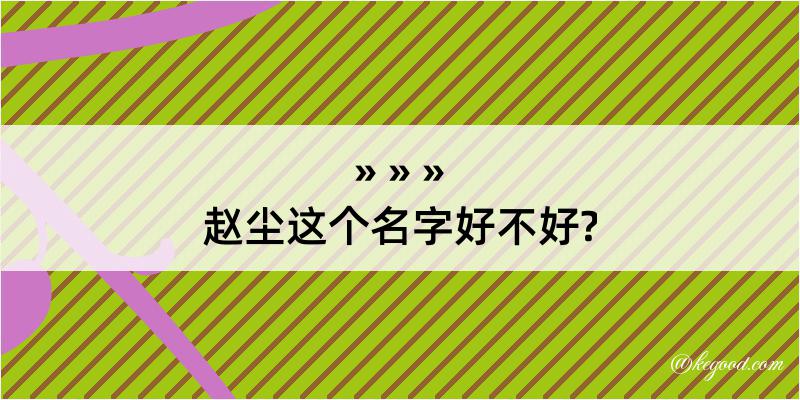 赵尘这个名字好不好?