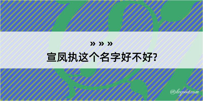 宣凤执这个名字好不好?