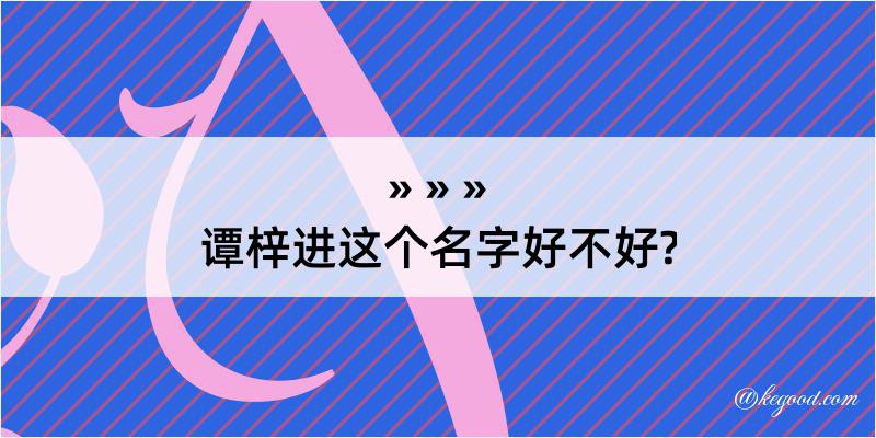 谭梓进这个名字好不好?