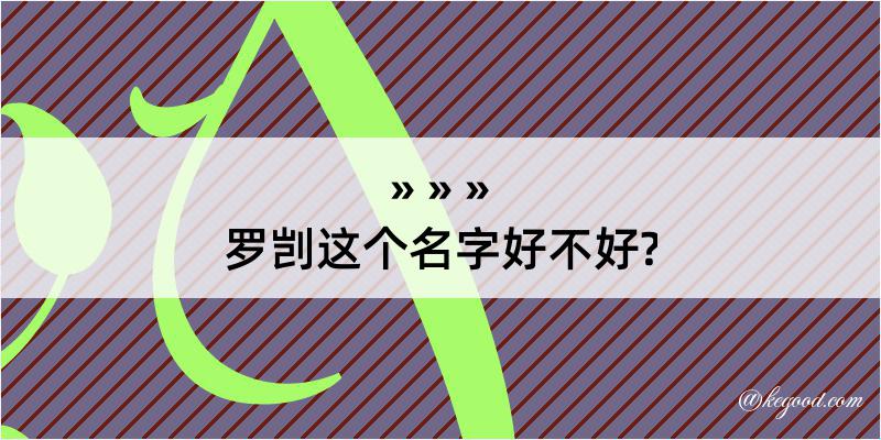 罗剀这个名字好不好?