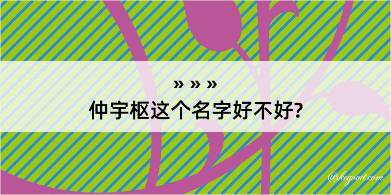 仲宇枢这个名字好不好?