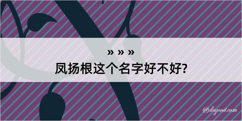 凤扬根这个名字好不好?