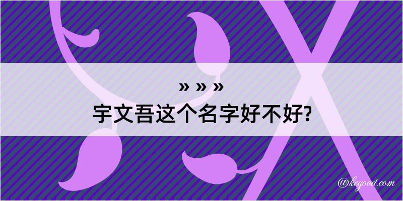 宇文吾这个名字好不好?