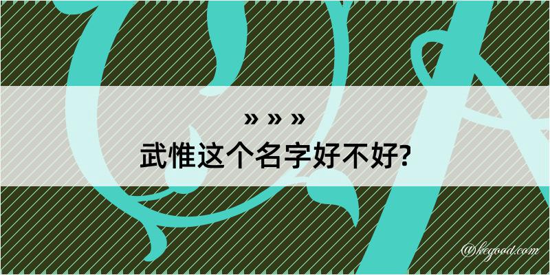 武惟这个名字好不好?