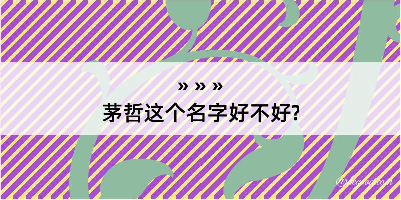 茅哲这个名字好不好?