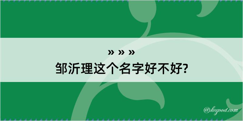 邹沂理这个名字好不好?