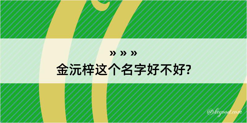 金沅梓这个名字好不好?