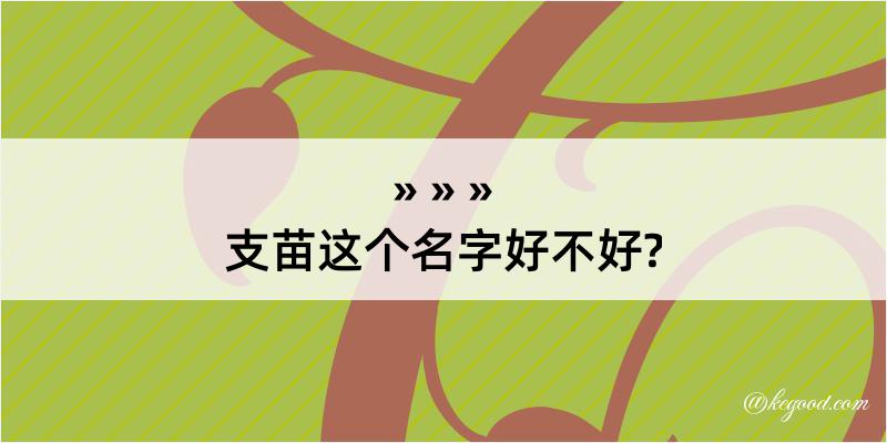 支苗这个名字好不好?