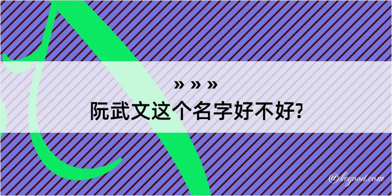 阮武文这个名字好不好?