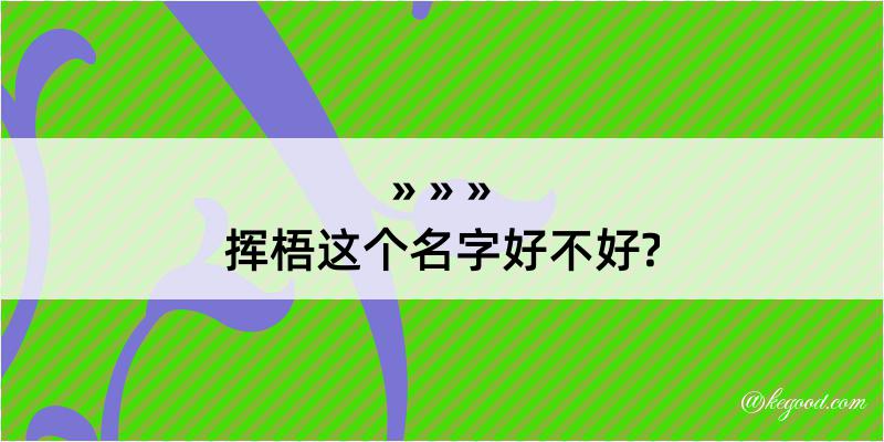 挥梧这个名字好不好?