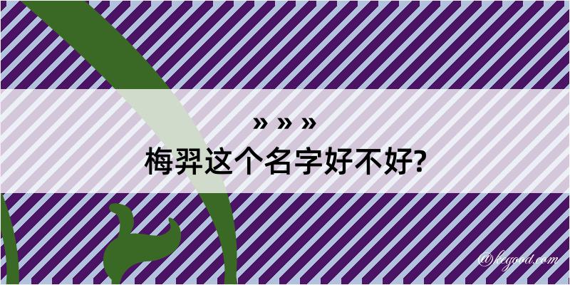 梅羿这个名字好不好?