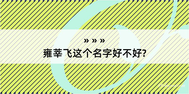 雍莘飞这个名字好不好?