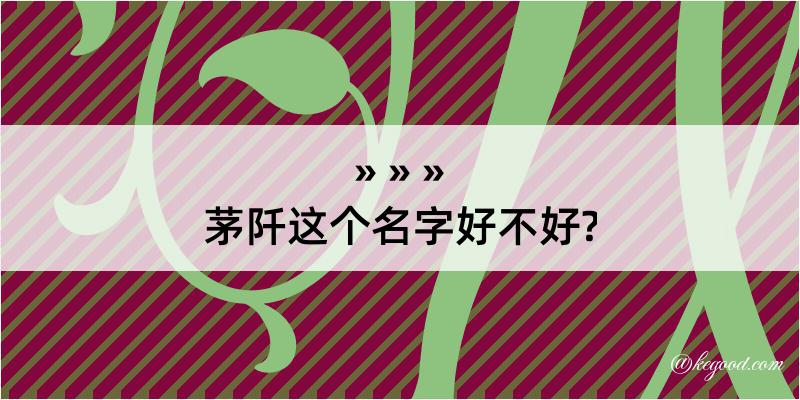 茅阡这个名字好不好?