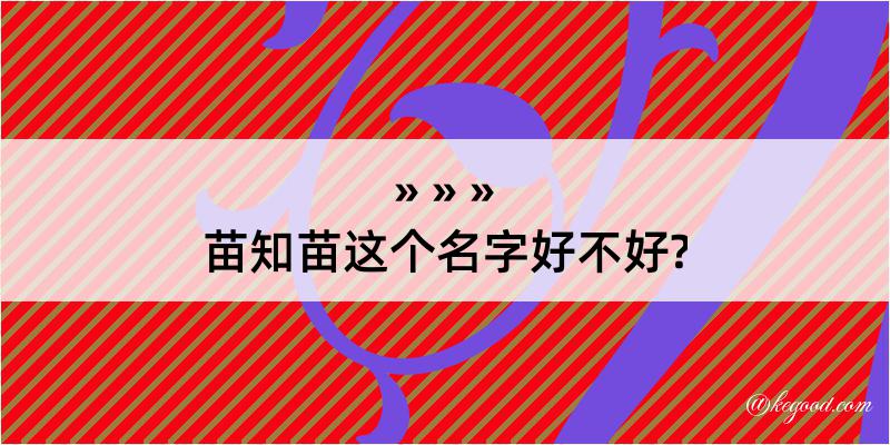 苗知苗这个名字好不好?