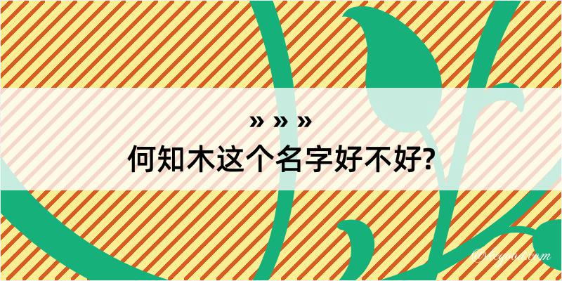 何知木这个名字好不好?