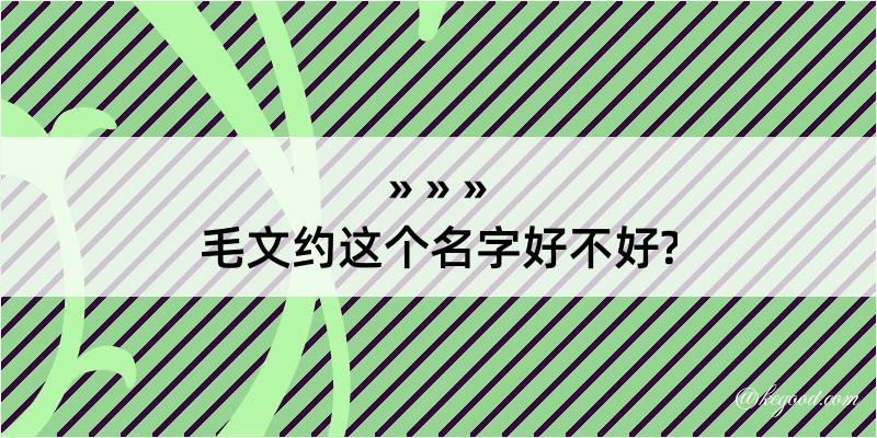 毛文约这个名字好不好?