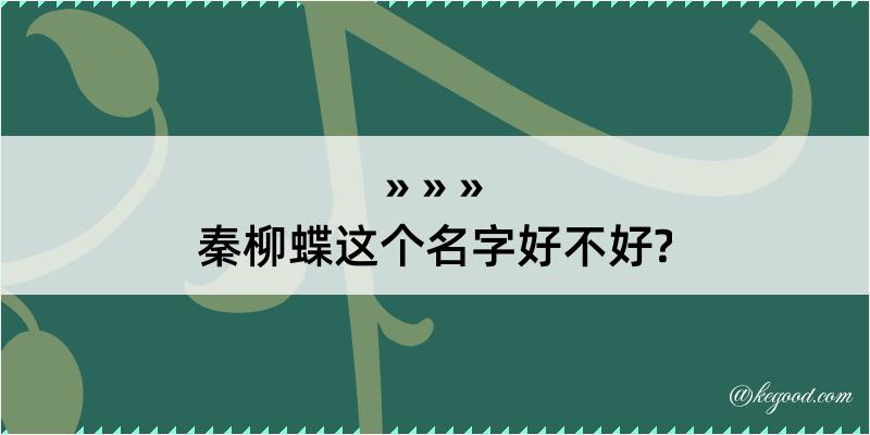 秦柳蝶这个名字好不好?