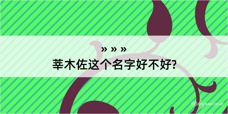 莘木佐这个名字好不好?