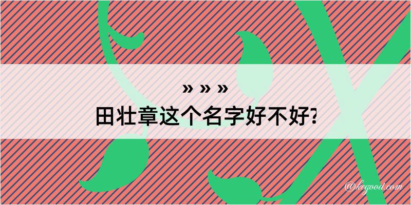 田壮章这个名字好不好?