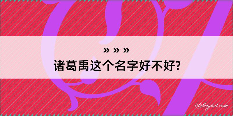 诸葛禹这个名字好不好?