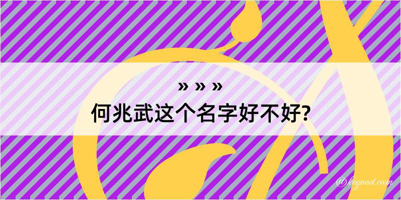 何兆武这个名字好不好?