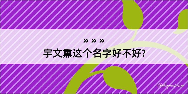 宇文熏这个名字好不好?