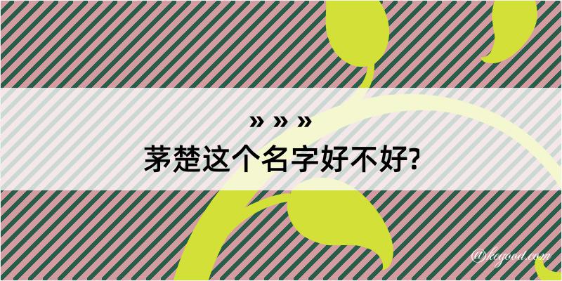 茅楚这个名字好不好?