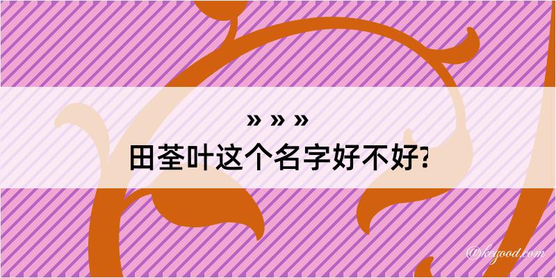 田荃叶这个名字好不好?