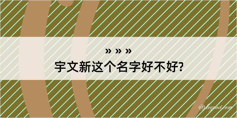 宇文新这个名字好不好?